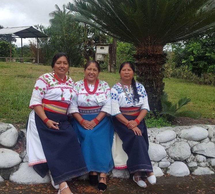 Artistri Sud ASSET Program Launched in Ecuador