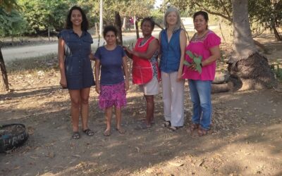 Artistri Sud explores opportunity to support organic agriculture in Mexico